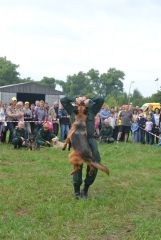 gallery_700_275_200819.jpg