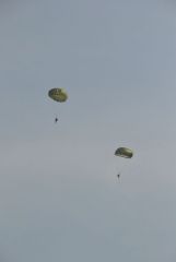 gallery_700_275_20609.jpg