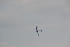 gallery_700_275_21083.jpg