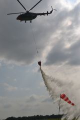 gallery_700_275_2524.jpg
