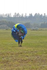 gallery_700_275_25241.jpg