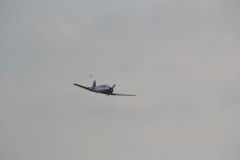 gallery_700_275_28225.jpg