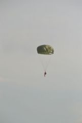 gallery_700_275_33879.jpg