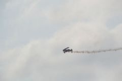 gallery_700_275_35662.jpg