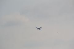 gallery_700_275_36216.jpg