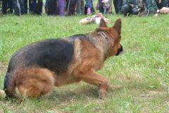 gallery_700_275_37095.jpg