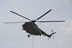 gallery_700_275_3741.jpg