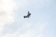 gallery_700_275_41907.jpg