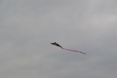gallery_700_275_43420.jpg