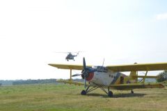 gallery_700_275_44982.jpg
