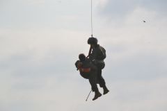 gallery_700_275_45497.jpg
