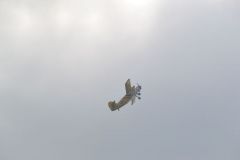 gallery_700_275_45883.jpg