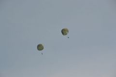 gallery_700_275_46229.jpg