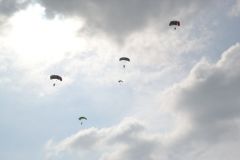 gallery_700_275_4839.jpg