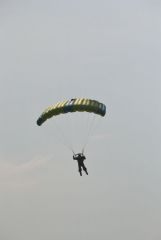 gallery_700_275_48913.jpg