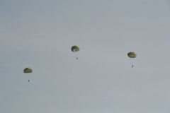 gallery_700_275_52600.jpg