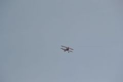 gallery_700_275_56298.jpg