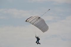 gallery_700_275_56624.jpg