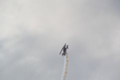 gallery_700_275_59170.jpg