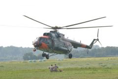 gallery_700_275_61679.jpg