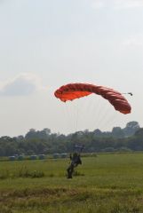 gallery_700_275_61908.jpg