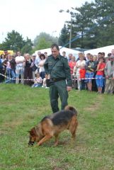 gallery_700_275_64914.jpg
