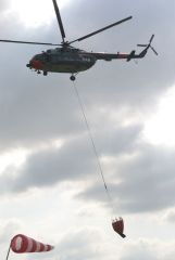 gallery_700_275_66157.jpg