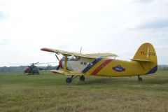 gallery_700_275_69556.jpg