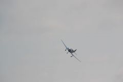 gallery_700_275_70124.jpg