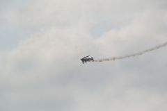 gallery_700_275_7607.jpg