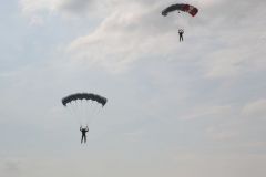 gallery_700_275_77520.jpg