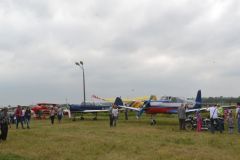 gallery_700_275_96295.jpg