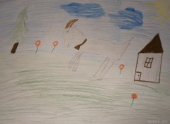 gallery_2_286_118871.jpg