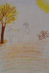 gallery_2_286_128360.jpg