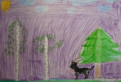 gallery_2_286_130758.jpg