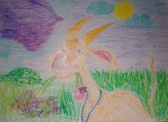 gallery_2_286_141803.jpg