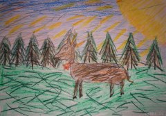gallery_2_286_169279.jpg