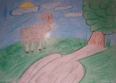 gallery_2_286_19328.jpg