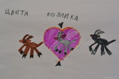 gallery_2_286_22582.jpg