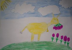gallery_2_286_35291.jpg