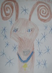 gallery_2_286_36383.jpg