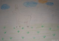 gallery_2_286_52793.jpg