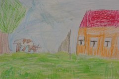 gallery_2_286_52905.jpg