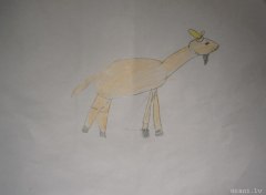 gallery_2_286_53064.jpg