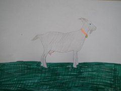 gallery_2_286_53829.jpg