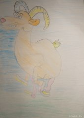 gallery_2_286_61619.jpg