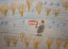gallery_2_286_62526.jpg