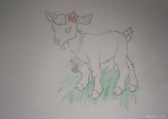 gallery_2_286_62974.jpg
