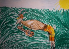 gallery_2_286_63851.jpg