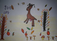 gallery_2_286_66645.jpg